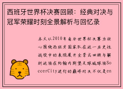 西班牙世界杯决赛回顾：经典对决与冠军荣耀时刻全景解析与回忆录